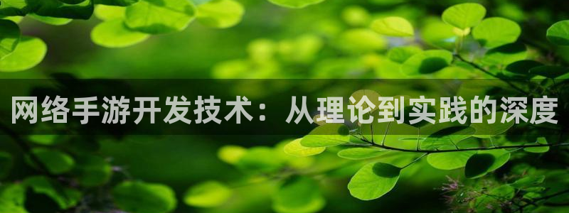三牛娱乐挂机：网络手游开发技术：从理论到实践的深度