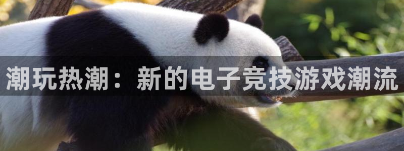 三牛娱乐官网：潮玩热潮：新的电子竞技游戏潮流