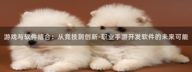 三牛娱乐如何注册：游戏与软件结合：从竞技到创新-职业手游开发