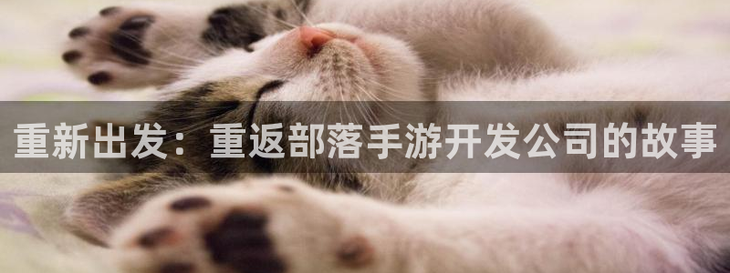 三牛娱乐登录：重新出发：重返部落手游开发公司的故事