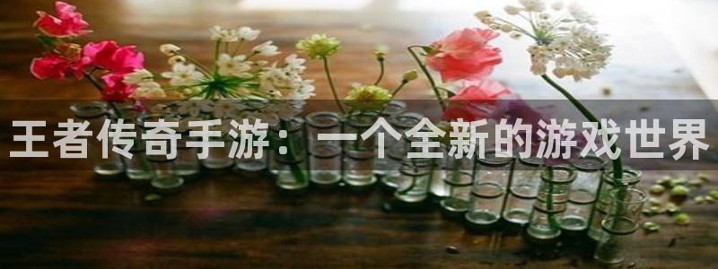 三牛娱乐挂机：王者传奇手游：一个全新的游戏世界