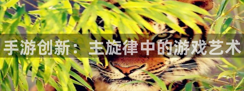 三牛娱乐负责人是谁：手游创新：主旋律中的游戏艺术