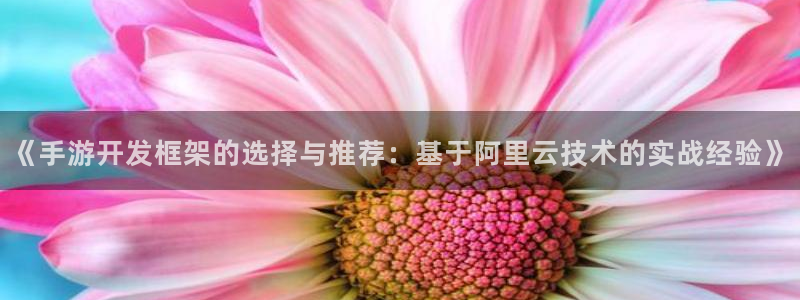 三牛娱乐负责人是谁：《手游开发框架的选择与推荐：基于阿里云技
