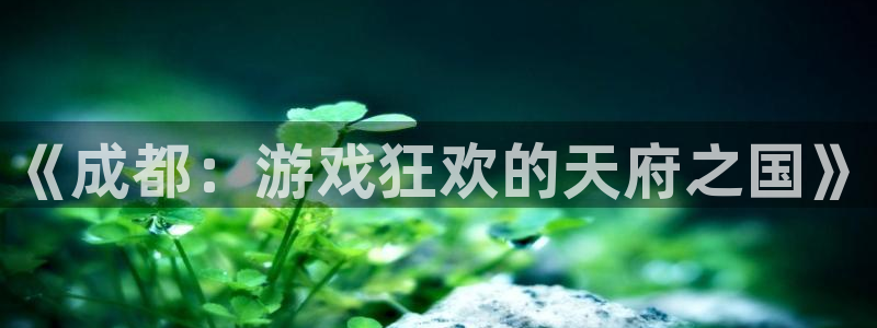 三牛娱乐哪里去了：《成都：游戏狂欢的天府之国》