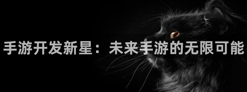 三牛公司：手游开发新星：未来手游的无限可能