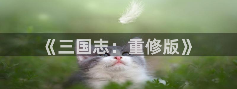 江苏三牛：《三国志：重修版》