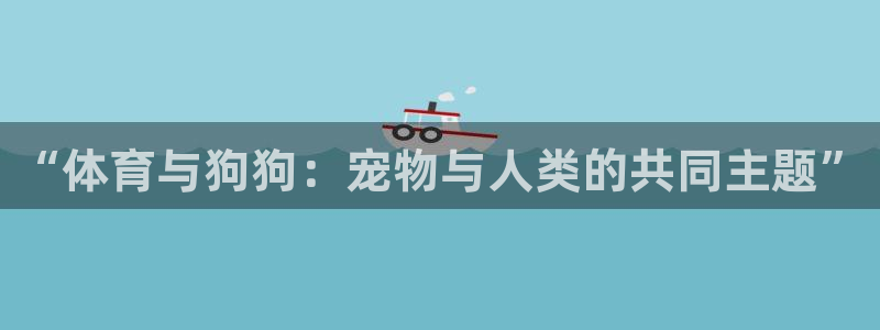 vsport体育