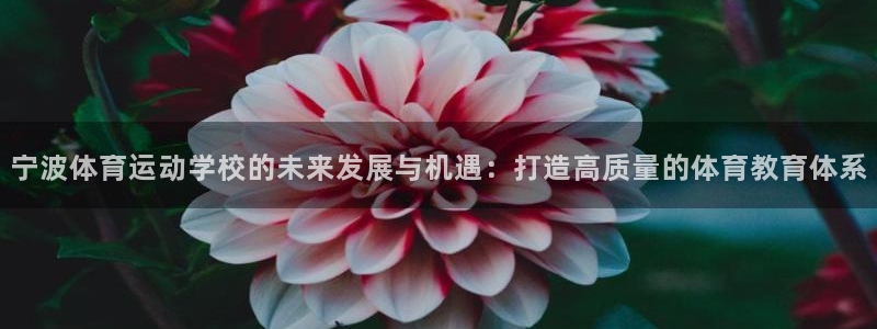 vsport体育在线官网