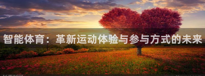 vsport体育