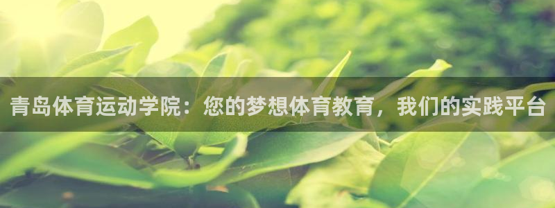vsport体育在线官网