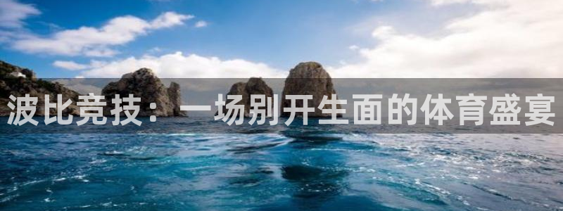 vsport体育：波比竞技：一场别开生面的体育盛宴