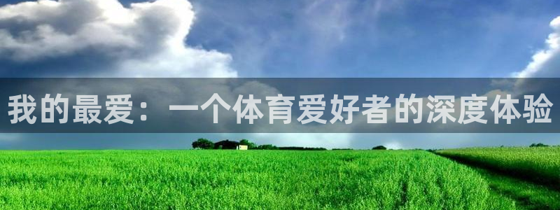 vsport体育在线官网：我的最爱：一个体育爱好者的深度体验