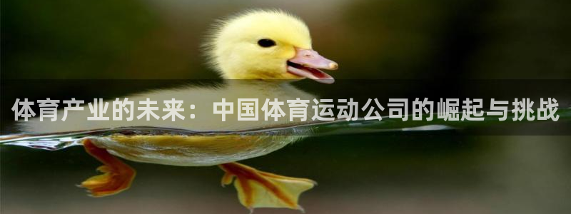 vsport体育：体育产业的未来：中国体育运动公司的崛起与挑战