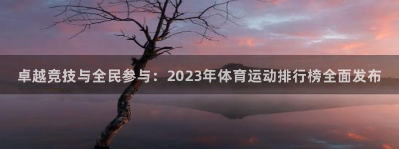 vsport体育在线官网：卓越竞技与全民参与：2023年体育运动排行榜全面发布