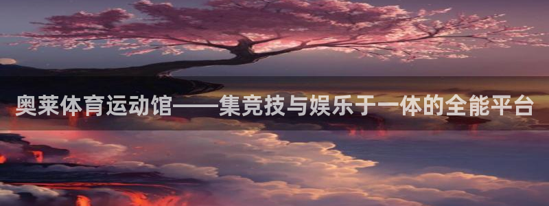 vsport体育在线官网：奥莱体育运动馆——集竞技与娱乐于一体的全能平台